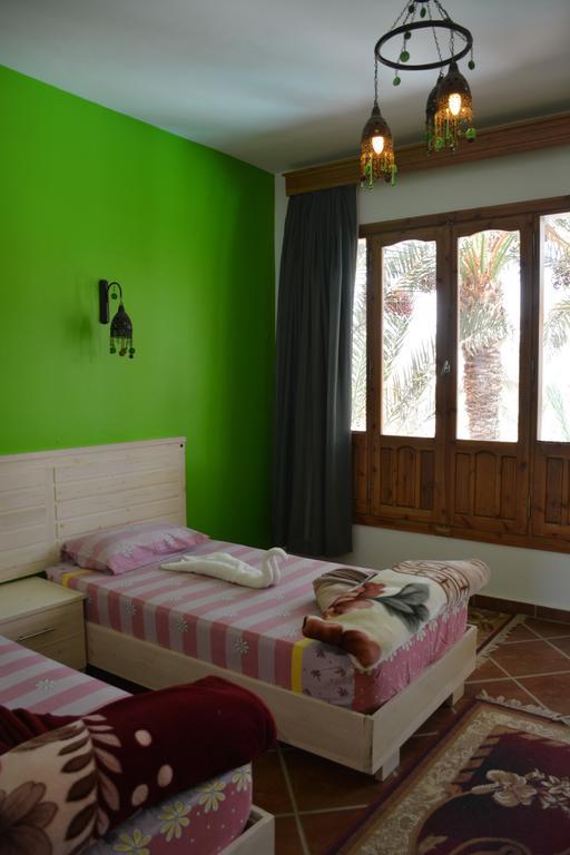 Dahab Divers Room photo